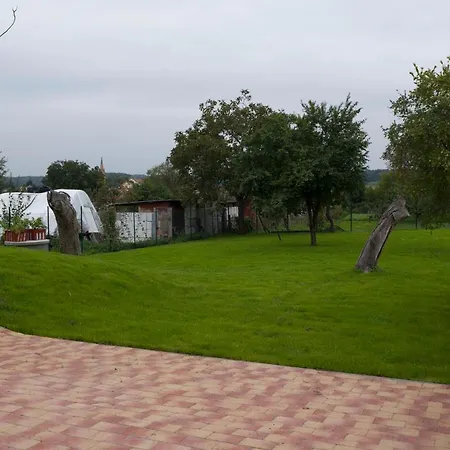 Morava * Uhercice (Breclav)